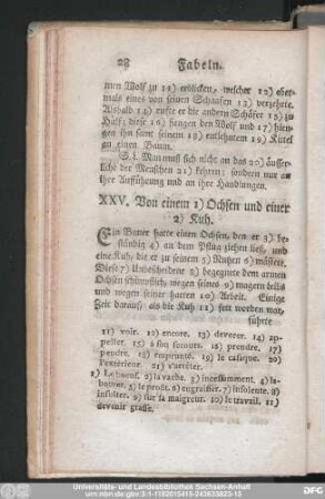 XXV. Von einem Ochsen und einer Kuh.