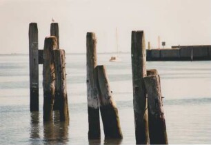 Drillen und Mole im Hafen Langeoog