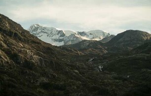 Thinking Like a Mountain