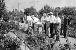 Kleingarten-Wettbewerb 1970