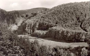 Blick auf Lippische Schweiz, Ostertal. Detmold. Heiligenkirchen