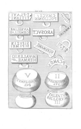 Tab. LVI.