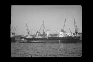 Flensburg (1959)