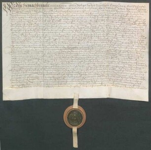 Johann Baltges, Schultheiß, und genannte Mitglieder des Gerichts zu Ubstadt beurkunden eine Gültverschreibung des Hans Ziegler über 20 Gulden gegenüber Johann Rehm, Generalkollektor des Bistums Speyer.