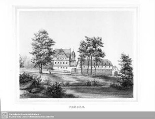 Treuen