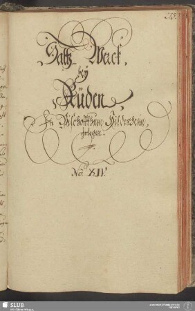 Saltz-Werck, bey Küden, In Bischoffsthum Hildesheim, gelegen