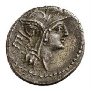 Münze, Denar, 91 v. Chr.