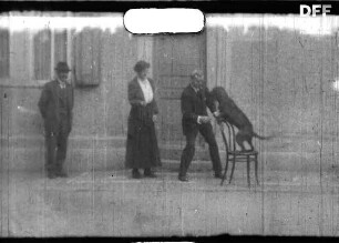 Dressur mit Hund Jochen (19??)