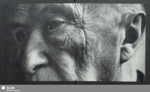 Adenauer, Nahaufnahme