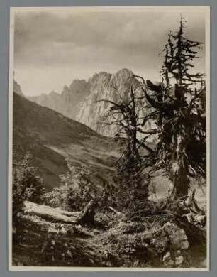 Österreich. Tirol. Im Kaisergebirge. Blick zum Wilden Kaiser