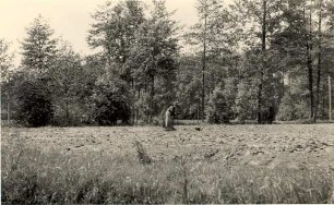 Spreewaldlandschaft bei Lehde : Błótowska krajina wokoło Lěd