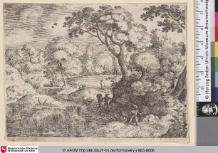 [Pfad zwischen Moor und Böschung; Path between swamp and wooden bank]