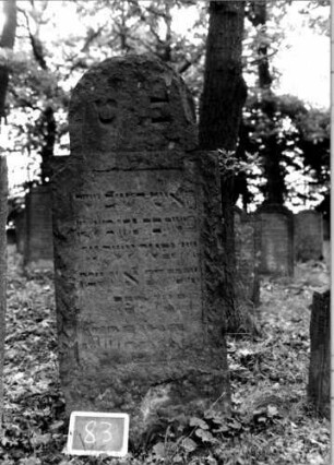 Grabstein 83 [Nir S. 82 Nr. 8.15]