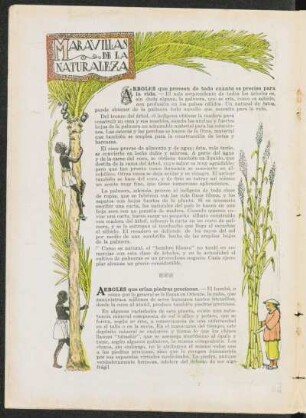 Maravillas de la naturaleza