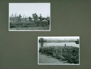 Leitdamm am Mittelgrund an der Küste bei Cuxhaven, 1950
