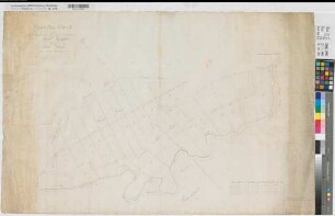 Lüdinghausen (Lüdinghausen) Domänengrundstücke Geistkamp und Sudwiese Entwurf 1822 50 Ruten = 15 cm 66 x 102 Zeichnung Ziegert, Katastereleve KSM Nr. 288a