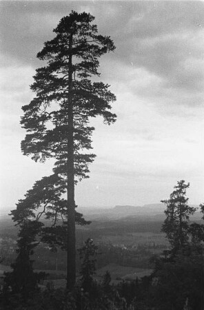 Landschaft : Norwegische Landschaft.