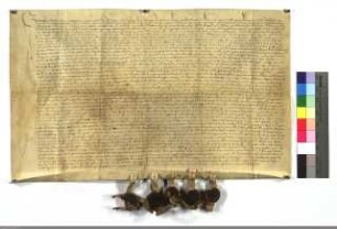 Rechtsspruch zur Beilegung der Irrungen zwischen dem D.O. zu Marburg u. Johann Becheling, Burgmann zu Amöneburg betr. Das Gericht Seelheim.