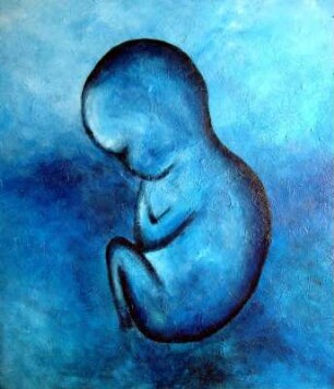 Embryo