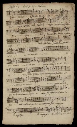 Basso. Consort à 5.