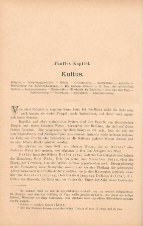 Fünftes Kapitel. Kultus