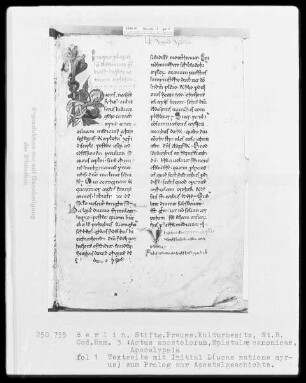 Neutestamentliche Schriften, Bibliorum sacrorum pars finalis — Initiale L(ukas), Folio 1recto