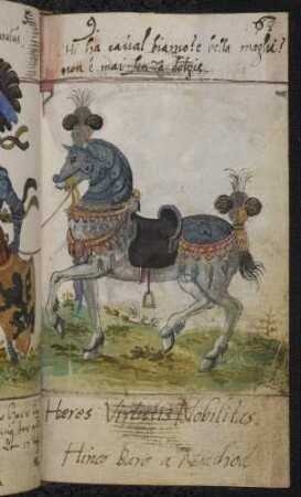 Freiherr Hinco von Nachod, Eintrag 1596