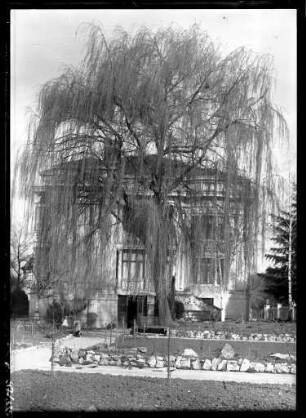 Die Villa Brenzinger