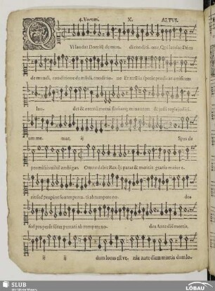 X. Qui laudat Dominum