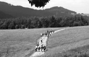 Wandergruppen im Bärental