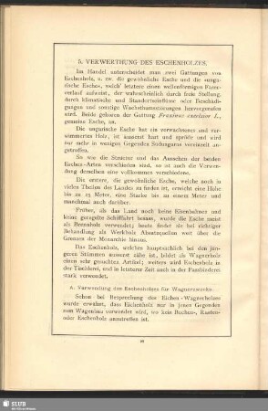5. Verwerthung des Eschenholzes