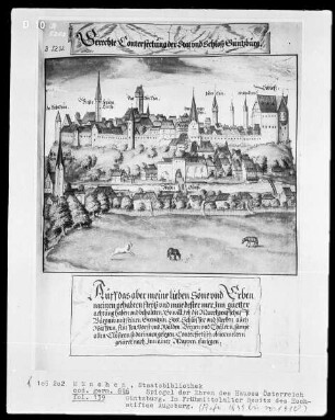 Spiegel der Ehren des Hauses Österreich — Güntzburg, Folio 139recto
