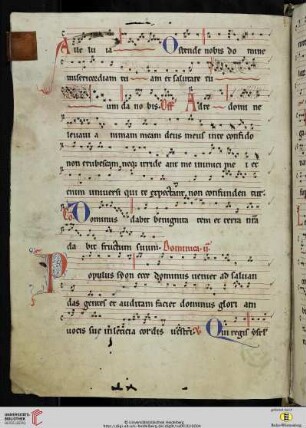 Proprium de tempore