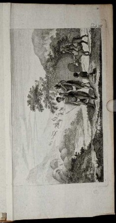 Tab. XIV.