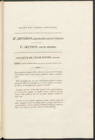 IIE. Division Fruits Rouges Ou Violets. I.Re.Section. Fruits Hérissées.