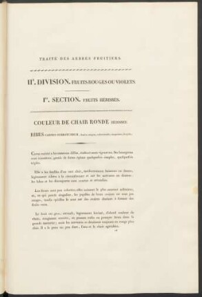 IIE. Division Fruits Rouges Ou Violets. I.Re.Section. Fruits Hérissées.