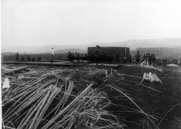 Construction d'une factorerie allemande (probablement une prairie)