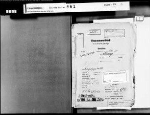 Beklagter: Königs, Nikolaus; Zeuge: Stiehl, Hermann; Zeuge: Hambach, Heinrich; Zeuge: Bielefeld, Helene: Diebstahl
