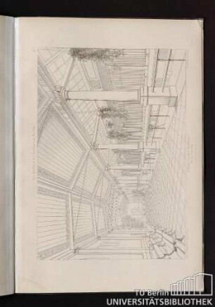 Bl. 7. II. Haus für grosse Raubthiere. - Innere Perspektive.