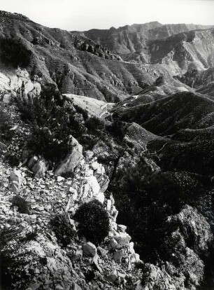 In der Sierra de Almijara bei Venta de Cabramentes, Andalusien
