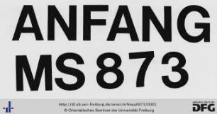 MF Mau 873