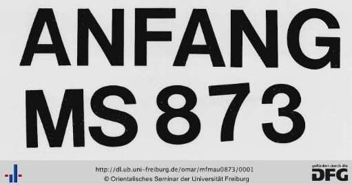 MF Mau 873