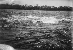 Stromschnelle : Stromschnellen im Fluss Aruwimi