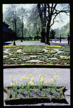 Chlttbg. Schlosspark 30.4.67.
