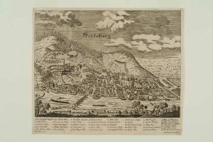 Stadt und Schloss Heidelberg