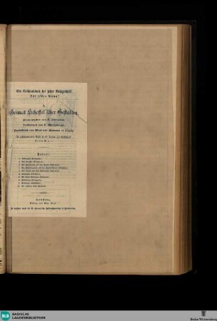 Karlsruher Zeitung, Buchwerbung