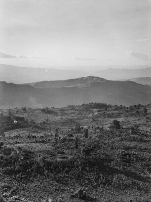 Hochplateau : Sicht über das Plateau von Ubamer mit Baum- und Buschbewuchs.