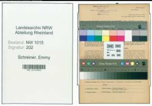 Entnazifizierung Emmy Schreiner , geb. 10.06.1907 (Korrespontin)