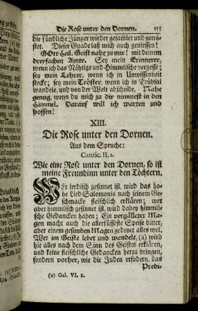 XIII. Die Rose unter den Dornen. - XIV. Vorbereitung zum seligen Tode.