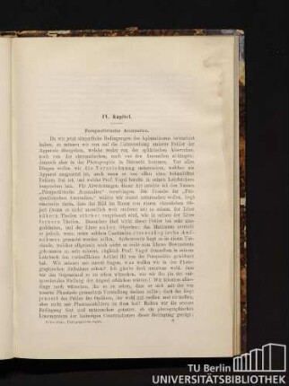 IV. Kapitel. Perspectivische Anomalien.